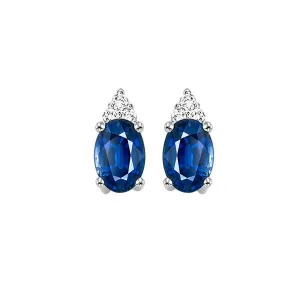 10KT White Gold & Diamond Classic Book 10K Birthstone Ensembles Fashion Earrings  - 1/10 ctw