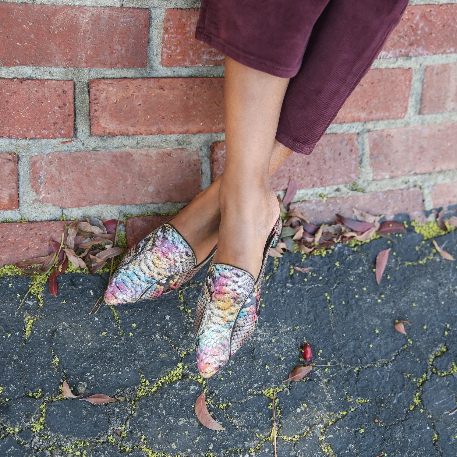 Painted Snake Pointed Loafer
