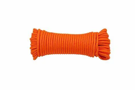 Paracord 100FT