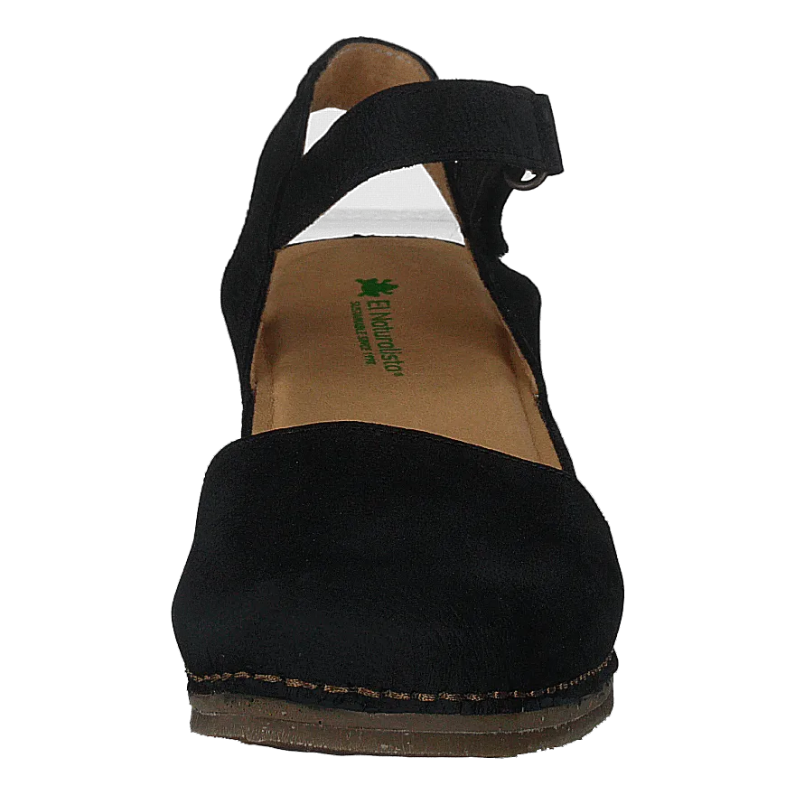 Picual Pleasant Black