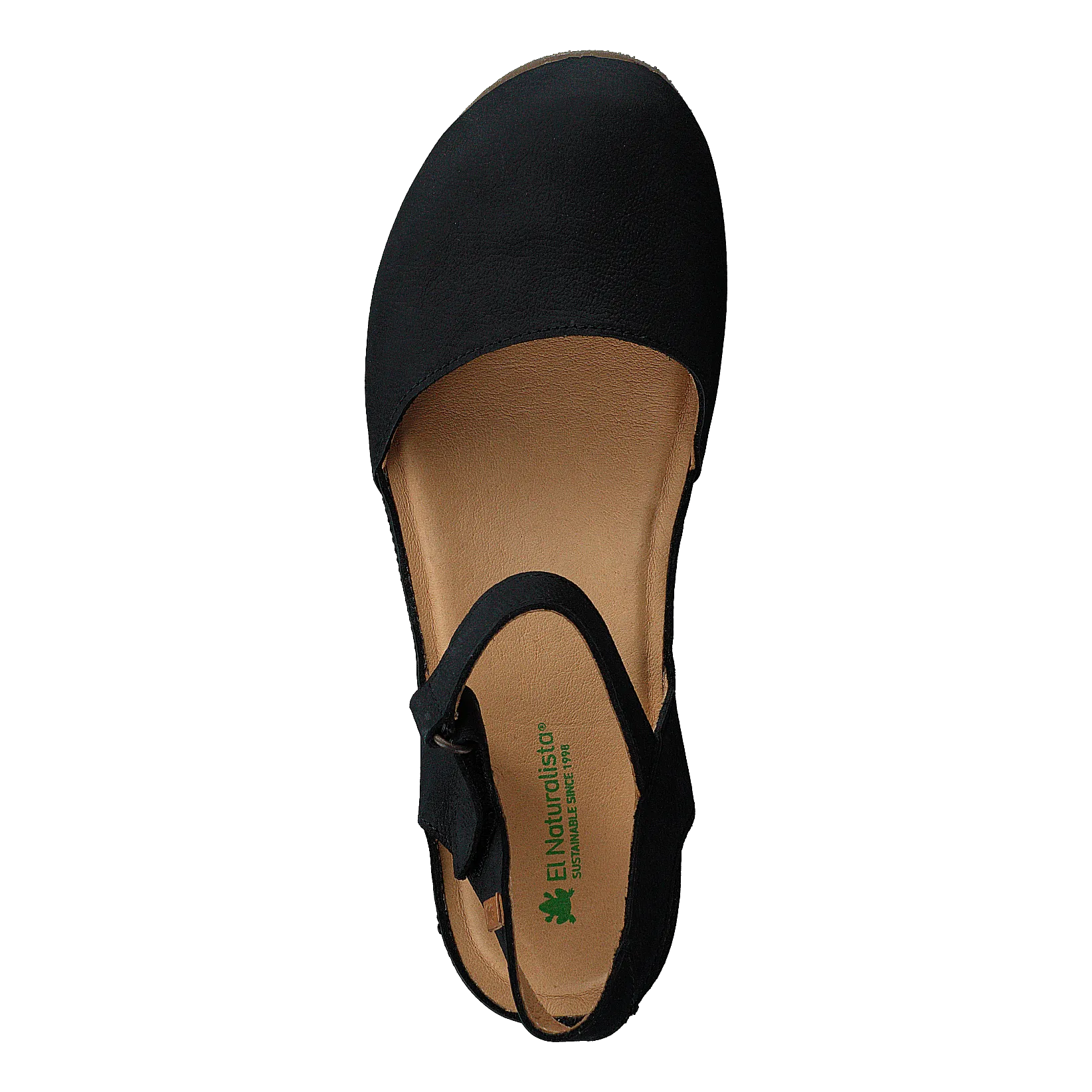 Picual Pleasant Black