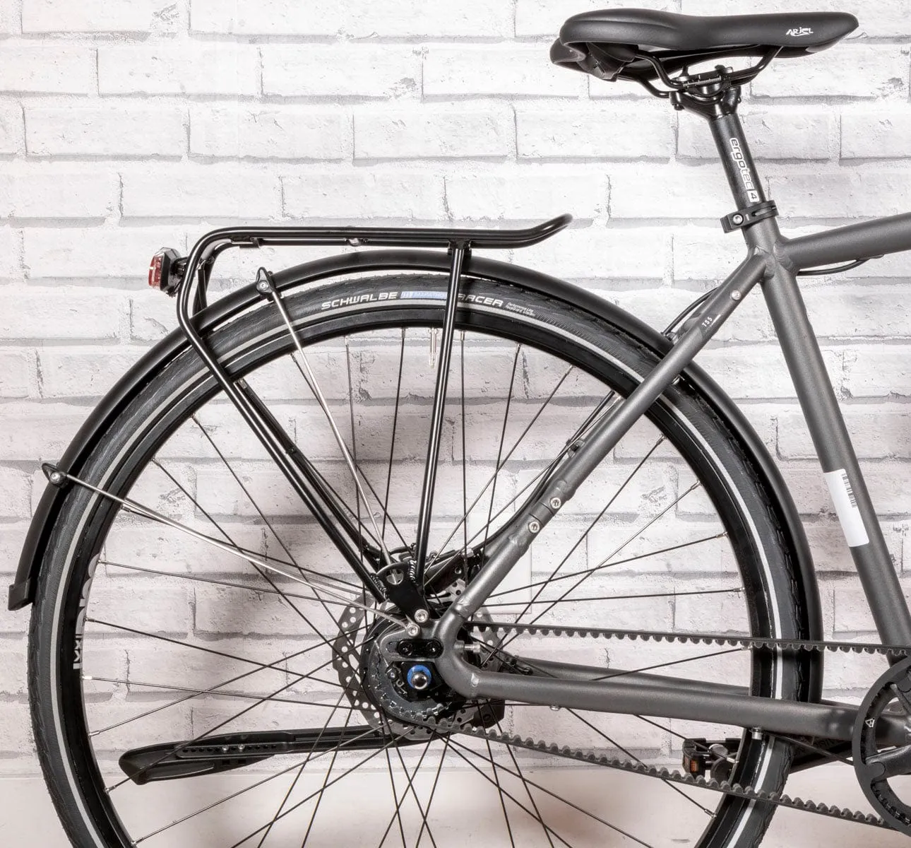 Rabeneick TS5 Roadster - Nexus 8 Disc Gates