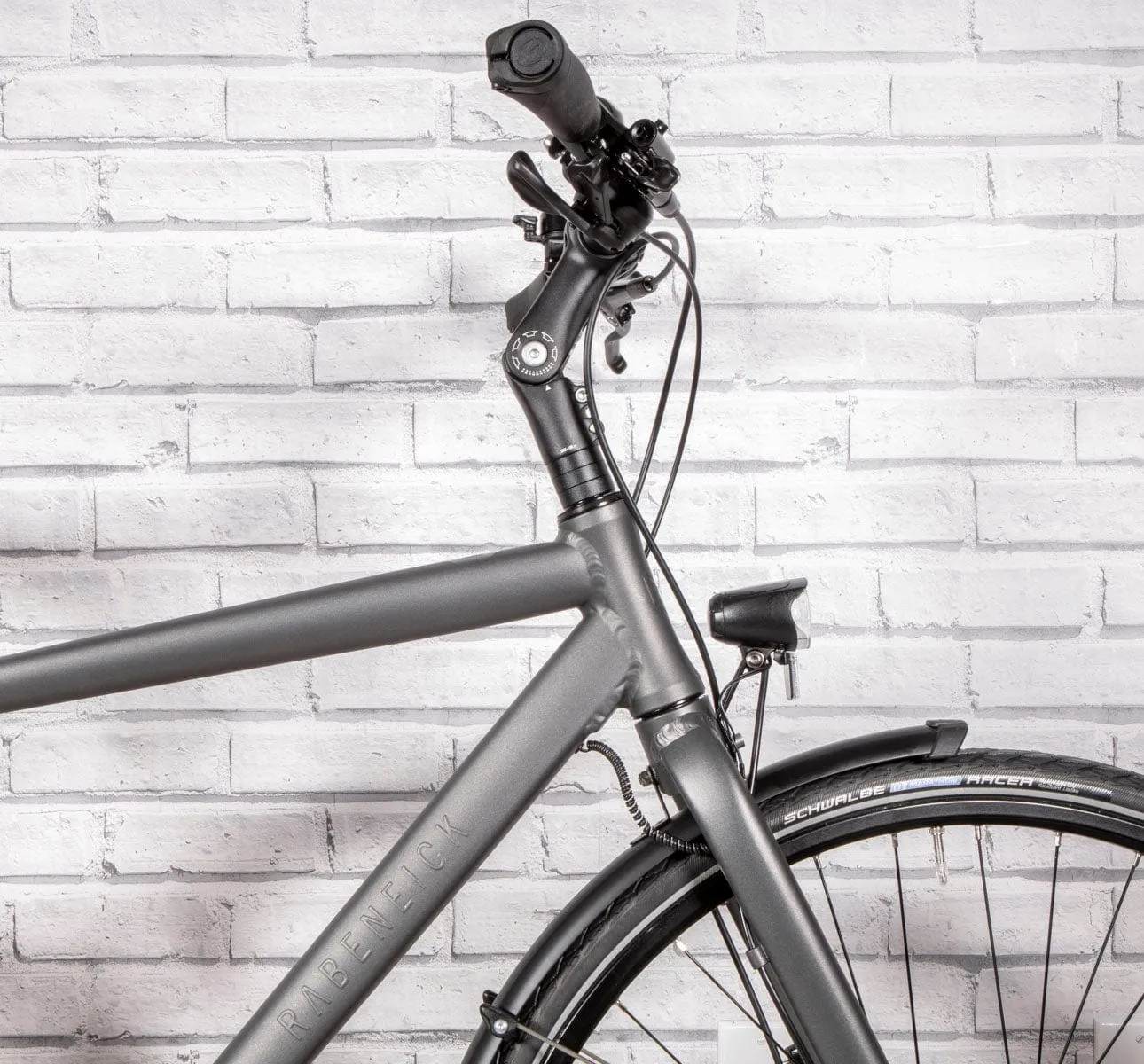 Rabeneick TS5 Roadster - Nexus 8 Disc Gates