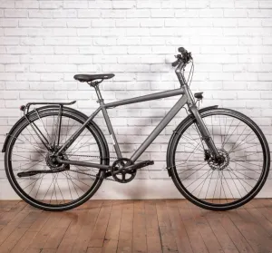 Rabeneick TS5 Roadster - Nexus 8 Disc Gates