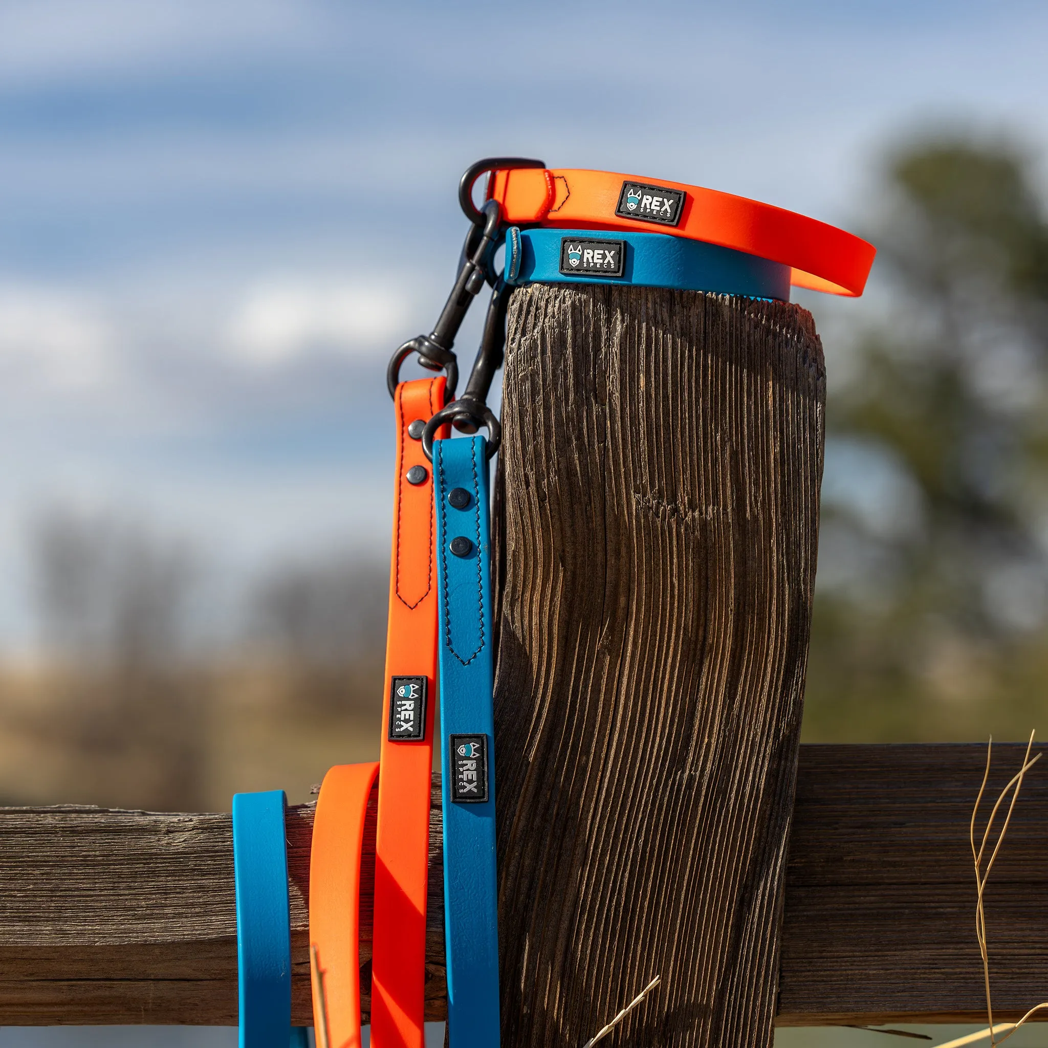 Weather-Resistant Brahma Leash
