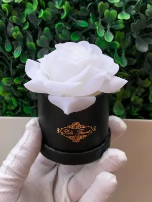 White Classic Micro Mini - Black Box