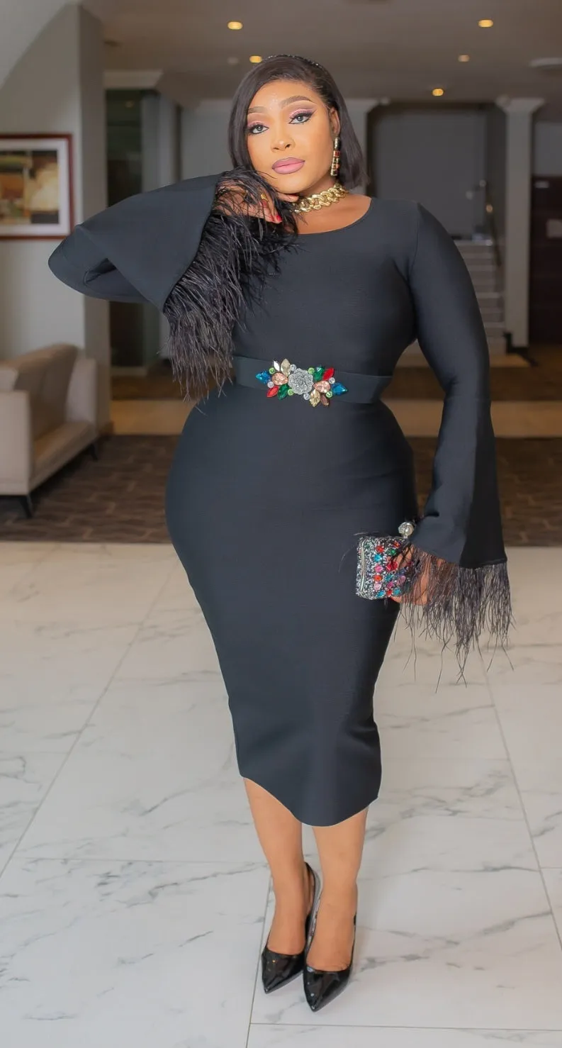 Zipporah- Feathers Galore Long Sleeve Bandage Dress (NEW)